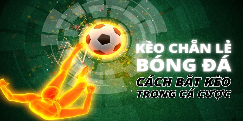 Cách dự đoán kèo chẵn lẻ cơ bản được chơi nhiều nhất