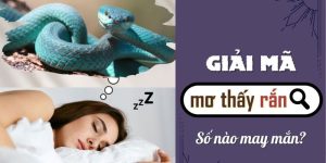 Mơ Thấy Rắn - Giải Mã Giấc Mộng Tiên Đoán Số Lô Đề Tại S666